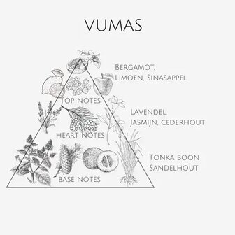 Parfum - Vumas