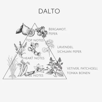 Parfum - Dalto