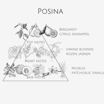 Parfum - Posina