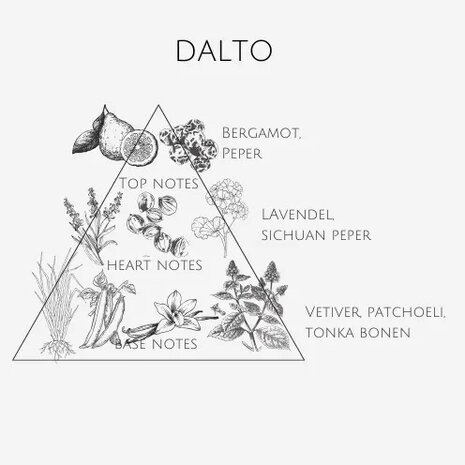 Parfum - Dalto