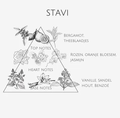 Parfum - Stavi