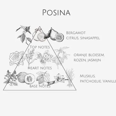 Parfum - Posina