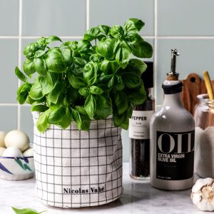 Nicolas Vahé Storage basket