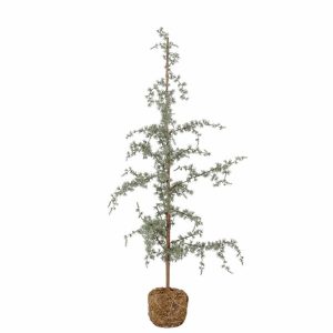 Bloomingville Cedar Tree - 110/120CM