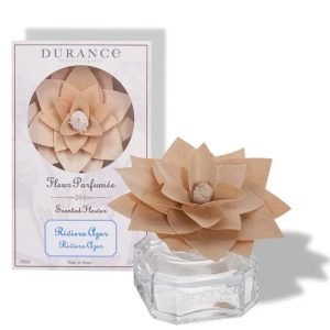 Durance Geurbloem - Riviera Azur